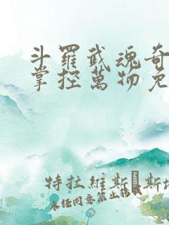 斗罗武魂奇门阵掌控万物免费阅读