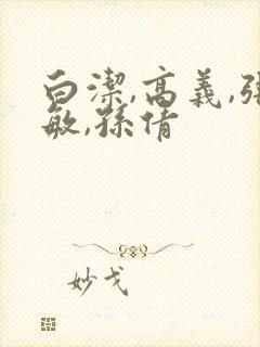 白洁,高义,张敏,孙倩