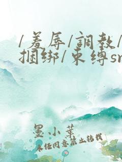 /羞辱/调教/捆绑/束缚smav