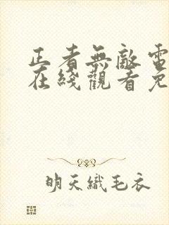 正者无敌电视剧在线观看免费