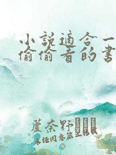 小说适合一个人偷偷看的书言情推荐完结