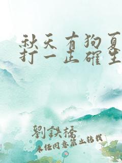 秋天有狗夏有鸡打一正确生肖