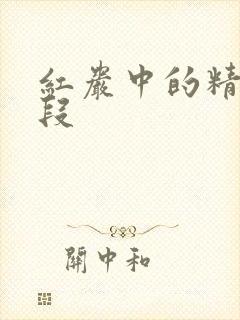 红岩中的精彩句段