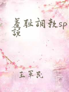 羞耻调教sp小说