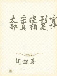 大宋提刑官第二部真相是什么