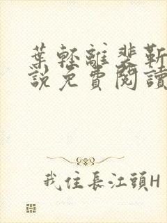 叶轻离裴靳墨小说免费阅读无弹窗