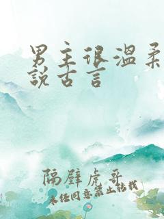 男主很温柔的小说古言