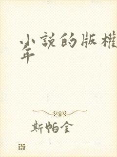 小说的版权多少年