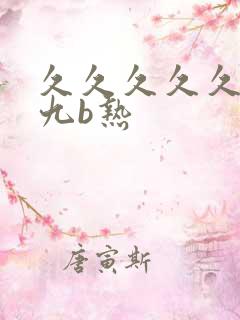 久久久久久九九九b热