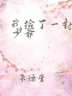 我捡了一对豪门少爷