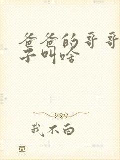爸爸的哥哥的儿子叫啥