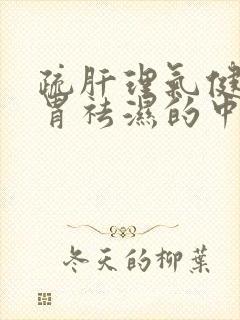 疏肝理气健脾和胃祛湿的中成药有哪些