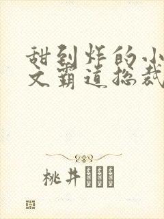 甜到炸的小说宠文霸道总裁