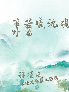 宁若曦沈砚舟番外篇