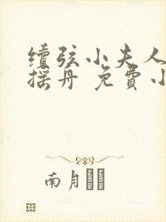 续弦小夫人 江摇舟 免费小说