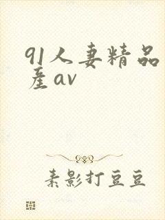 91人妻精品国产av