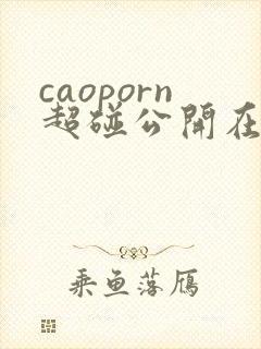 caoporn超碰公开在线