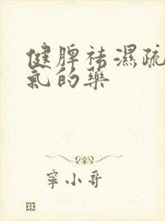 健脾祛湿疏肝理气的药 健脾祛湿疏肝理气的药