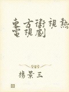 东方卫视热播的电视剧