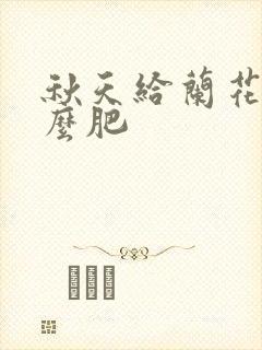 秋天给兰花施什么肥