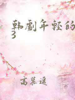 韩剧年轻的母亲3 韩剧年轻的母亲3