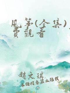 风筝(全集)免费观看