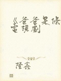 《爸爸是条龙》电视剧