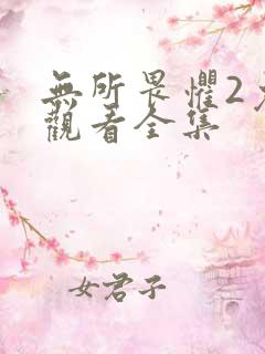 无所畏惧2免费观看全集