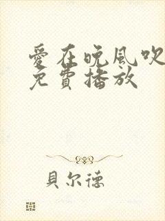 爱在晚风吹短剧免费播放