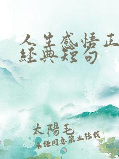 人生感悟正能量经典短句