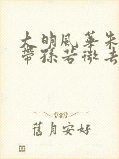 大明风华朱瞻基带孙若微去见朱棣