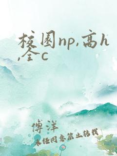 校园np,高h,全c