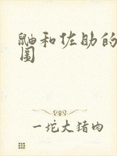 鼬和佐助的奥义图