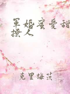 军婚蜜爱甜妻太撩人