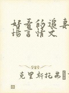 好看的追妻火葬场言情文