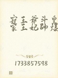 宠王爷斗皇子我家王妃帅爆