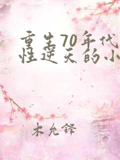 重生70年代悟性逆天的小说