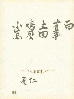 小鸡上有白色是怎么回事