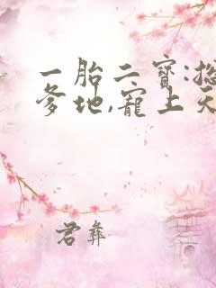 一胎二宝:总裁爹地,宠上天