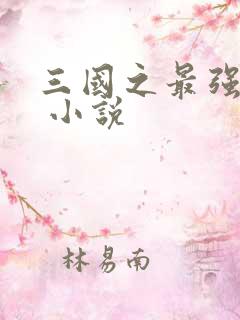 三国之最强霸主 小说