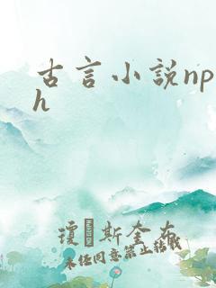 古言小说np高h