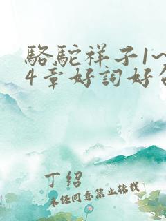 骆驼祥子1~24章好词好句