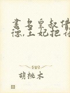书名皇叔借点功德,王妃把符画猛了
