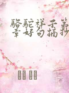 骆驼祥子第22章好句摘抄