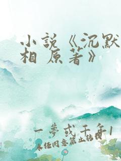 小说《沉默的真相 原著》