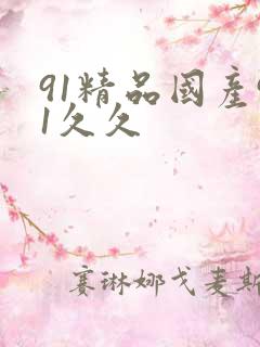 91精品国产91久久