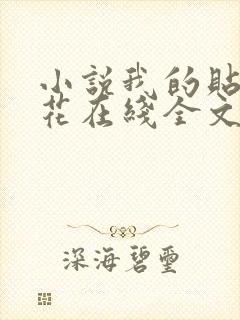 小说我的贴身校花在线全文免费阅读