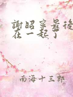 谢昭宁最后和谁在一起了