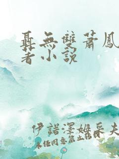 聂无双萧凤青原著小说