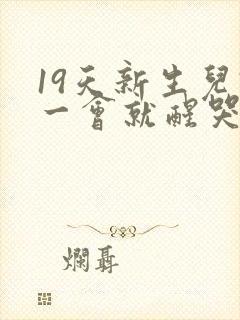 19天新生儿睡一会就醒哭闹